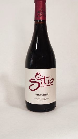 EL SITIO VIJARIEGO NEGRO