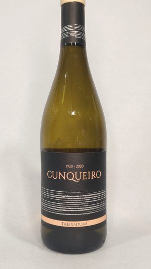 CUNQUEIRO CENTENARIO