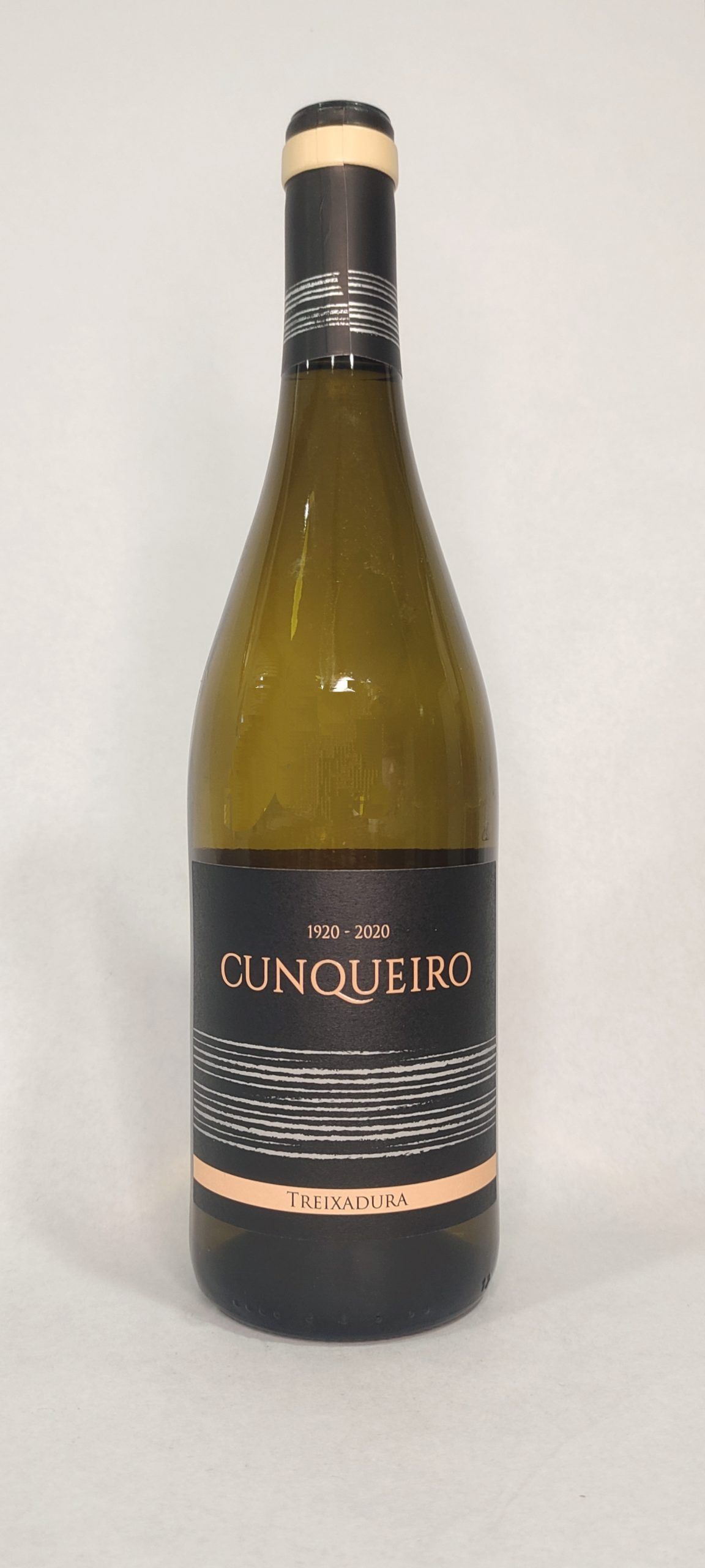 CUNQUEIRO CENTENARIO